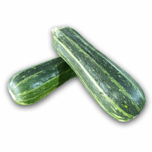 zapallo italiano c/u