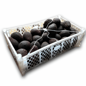 palta por cajón pre madura (10kg)