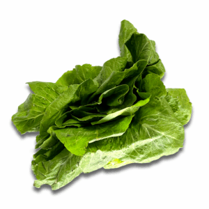 lechuga costina por unidad