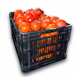 tomate en caja 19 a 20 kg aprox
